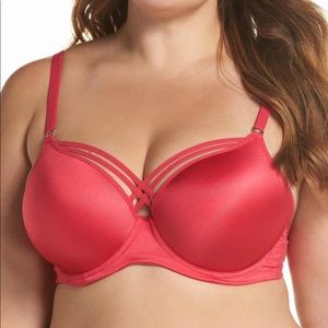 COPY - Elomi Plus Size
